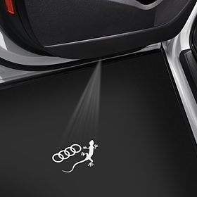 Instapverlichting, Audi ringen met gecko