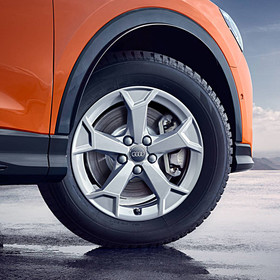 Audi 17 inch lichtmetalen winterset, 5-Arm-Serra