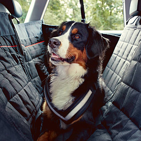 Audi Honden beschermdeken achterbank