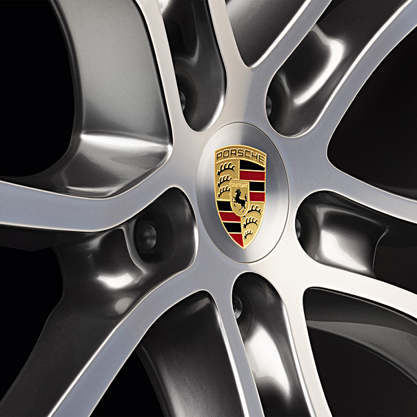 Wielnaafafdekkingen met gekleurd Porsche logo