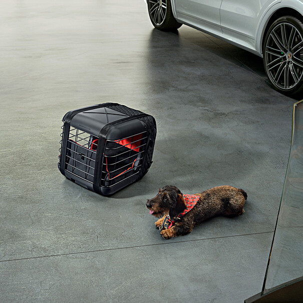 Porsche Honden transportbox (tot 8kg)
