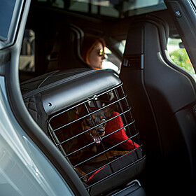 Porsche Honden transportbox (tot 8kg)