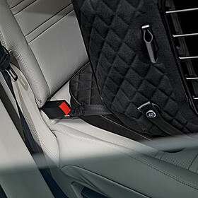 Porsche Honden transportbox (tot 8kg)