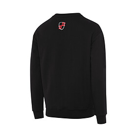 Porsche Trui, 911 GT3 S/C